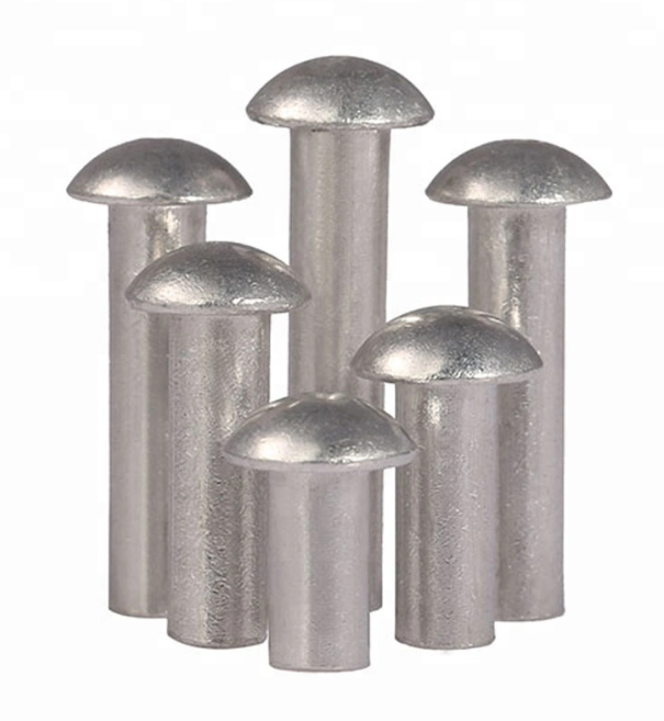 Stainless steel round head rivet nut